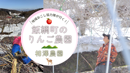 地域おこし協力隊が行く🏃♀️飯綱町のりんご農園🍎【相澤農園】