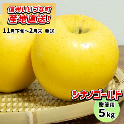 りんご シナノゴールド 11月下旬以降発送 贈答用 5kg