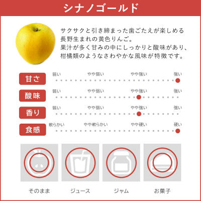 りんご シナノゴールド 11月下旬以降発送 贈答用 10kg