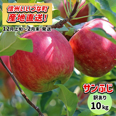 2025年12月以降出荷 【訳あり】 りんご さんふじ 10kg