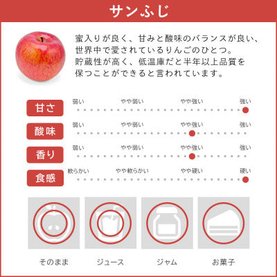 2025年12月以降出荷 【訳あり】 りんご さんふじ 10kg