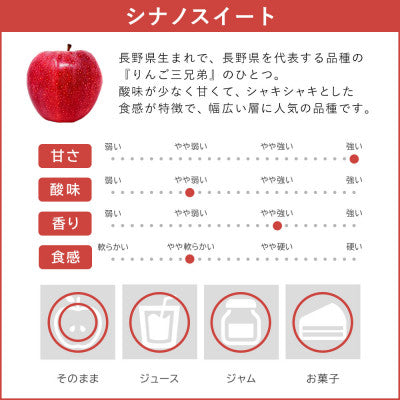りんご シナノスイート 5kg 贈答用 10月下旬以降発送