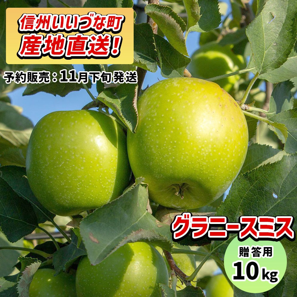 りんご グラニースミス 11月下旬より順次発送 贈答用 10kg