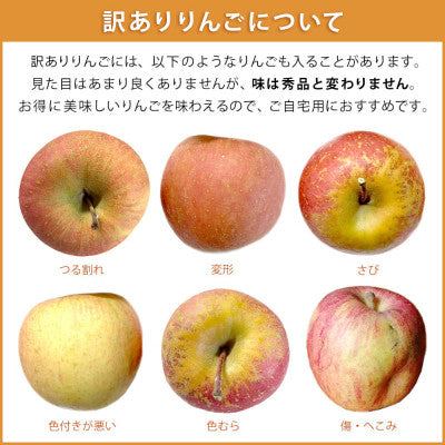 2025年12月以降出荷 【訳あり】 りんご さんふじ 10kg