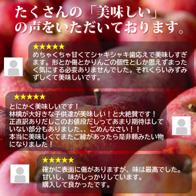 2025年12月以降出荷 【感謝りんご】訳あり りんご サンふじ 5kg 光センサ 糖度12度以上