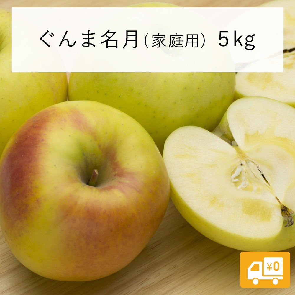 2025年11月上旬以降出荷 【訳あり】 りんご ぐんま名月 5kg