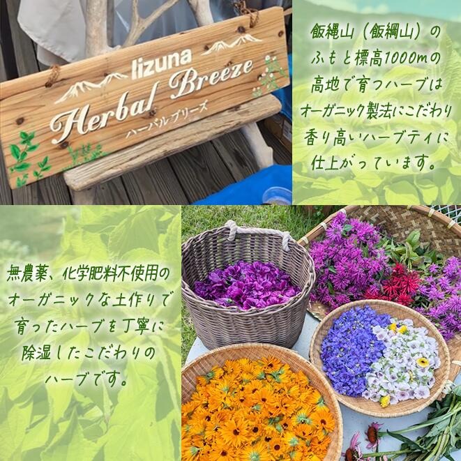 ハーブティー 6袋 飯綱ハーバルブリーズ 長野県 飯綱町 〔 飲料 ハーブ ティー お茶 ミント カモミール 信州 〕
