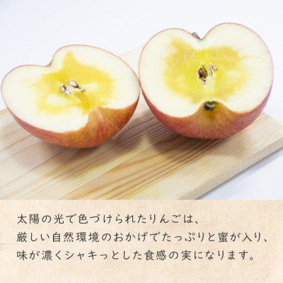 りんごジュース 100% 1000ml × 6本 セット