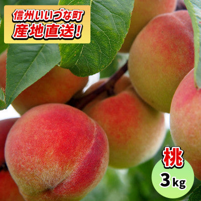 もも 飯綱町産 品種おまかせ 3kg