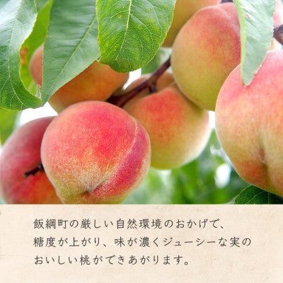 もも 飯綱町産 品種おまかせ 3kg