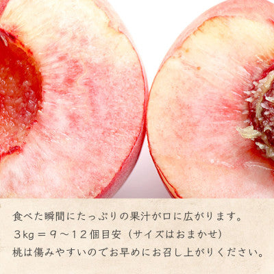 もも 飯綱町産 品種おまかせ 3kg