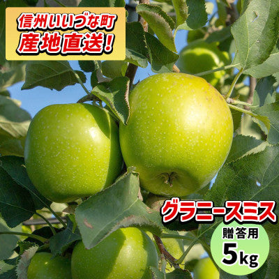 りんご グラニースミス 11月下旬より順次発送 贈答用 10kg
