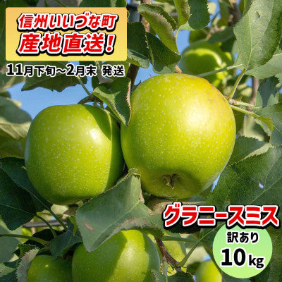 11月下旬以降発送 【訳あり】 りんご グラニースミス 10kg