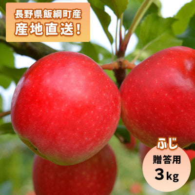 りんご ふじ 3kg 贈答用 11月下旬以降発送