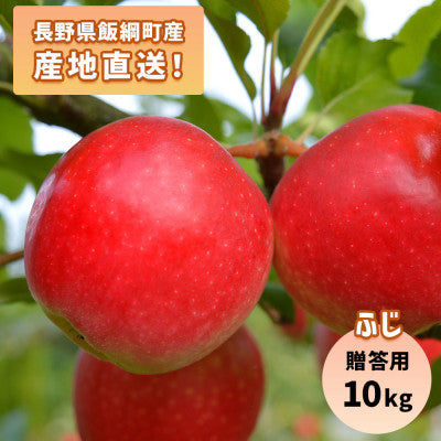 りんご ふじ 10kg 贈答用 11月下旬以降発送