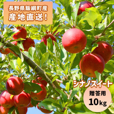 りんご シナノスイート 10kg 贈答用  10月下旬以降発送