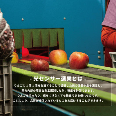 2024年12月以降出荷 訳あり りんご サンふじ 3kg 光センサ選果 糖度12度以上 7～15玉