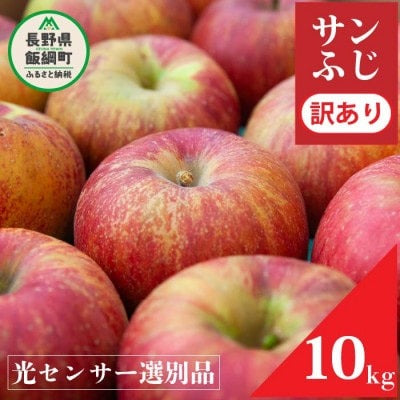 2024年12月以降出荷 訳あり りんご サンふじ 10kg 光センサ 糖度12度以上 24～50玉