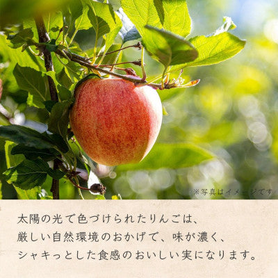 【信州いいづなセット】 そば りんごのケーキ/バター/ドリンク酢/ソース/ドレッシング/ジュース