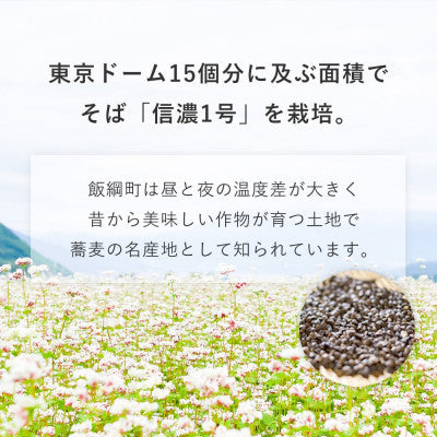 【そば焼酎】 飯綱の風20° 飯綱の風25° 720ml 2本セット