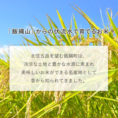 米セット 玄米 各2kg 計6kg セット こしひかり あきたこまち ミルキークイーン