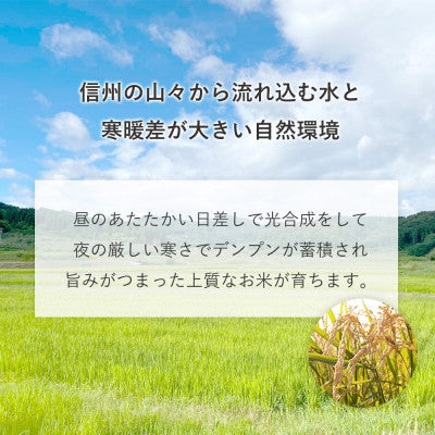 米セット 玄米 各2kg 計6kg セット こしひかり あきたこまち ミルキークイーン