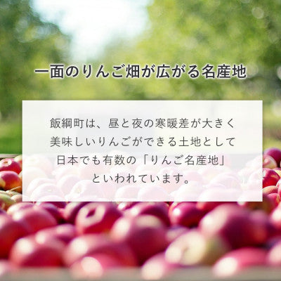 【お任せりんごジュースセット】 りんごジュース 1000ml 6本 セット