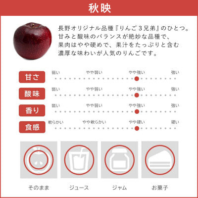 2024年10月以降出荷 訳あり りんご 秋映 10kg 光センサ選果 糖度12度以上 24～50玉