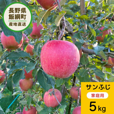 エバラ農園 りんご サンふじ 5kg 家庭用