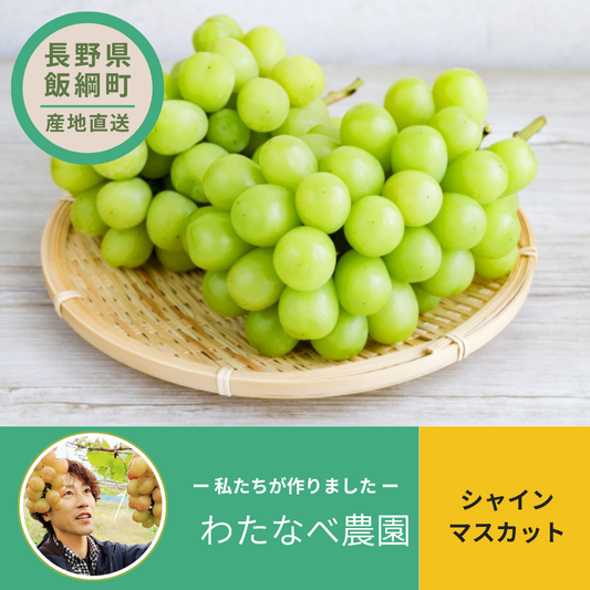 【ぶどう】 わたなべ農園 シャインマスカット 2~3房(約1kg)