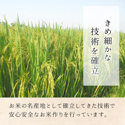 米セット 玄米 各2kg 計6kg セット こしひかり あきたこまち ミルキークイーン