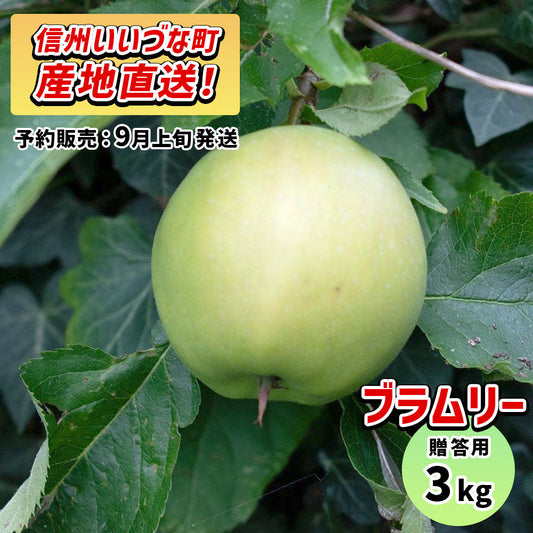 2025年9月上旬以降出荷 贈答用 りんご ブラムリー 3kg