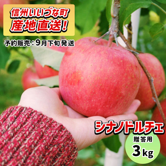 りんご シナノドルチェ 贈答用 10月上旬以降逐次発送  3kg