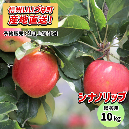 2026年9月上旬以降出荷  【贈答用】 りんご シナノリップ 10kg