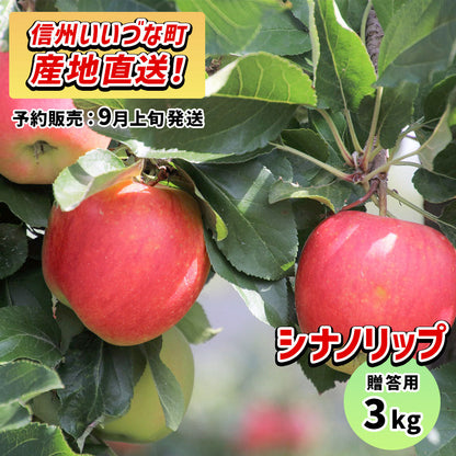 2026年9月上旬以降出荷 【贈答用】 りんご シナノリップ 3kg