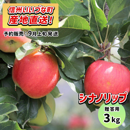 2026年9月上旬以降出荷 【贈答用】 りんご シナノリップ 3kg