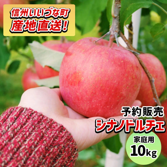 【訳あり】  2026年10月上旬以降逐次発送 りんご シナノドルチェ 10kg