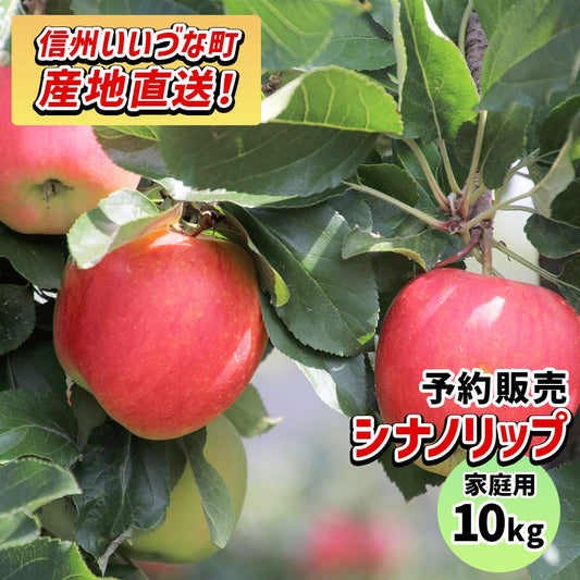 2025年8月下旬以降出荷 【訳あり】 りんご シナノリップ 10kg