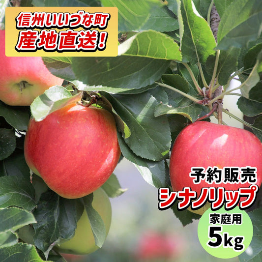 2025年8月下旬以降出荷 【訳あり】 りんご シナノリップ 5kg