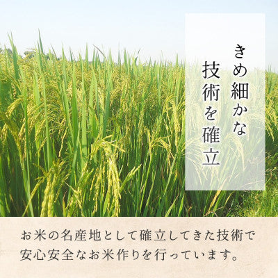 【飯綱町産】コシヒカリ 5kg 精米