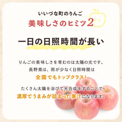 2024年11月以降出荷 訳あり りんご シナノゴールド 約3kg 光センサー選果 7～15玉