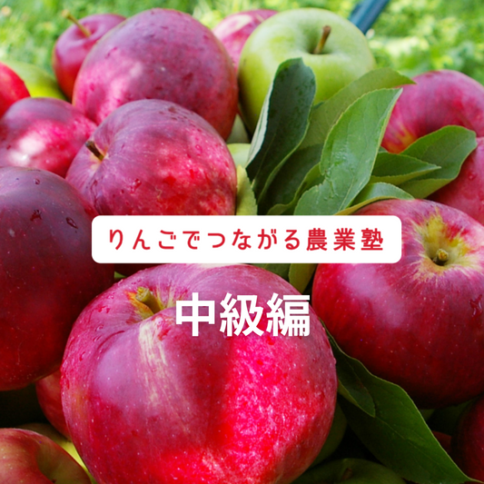 【農業体験】リンゴ栽培を学ぶ「信州いいづなりんご学校」（中級編）
