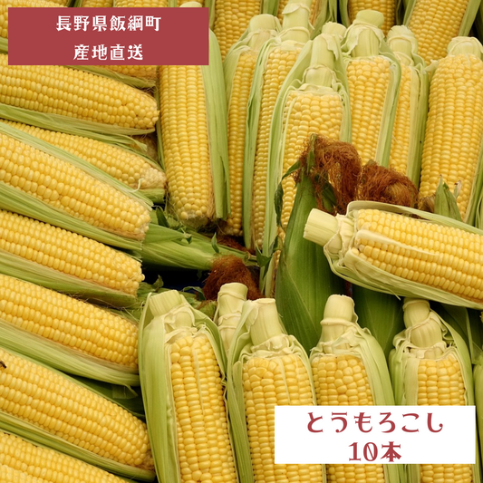 とうもろこし 10本