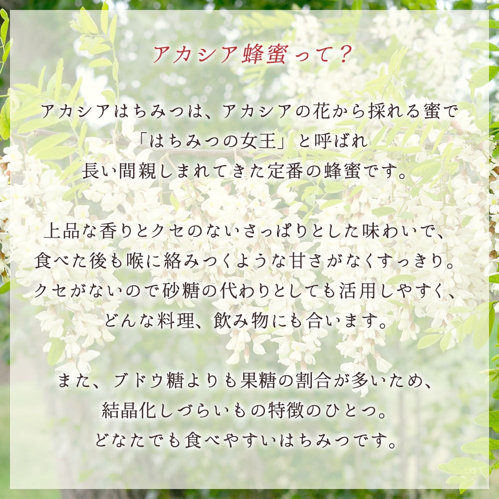 はちみつ 外谷さんちのりんご蜜・アカシア蜜セット 300g×2個 非加熱蜂蜜