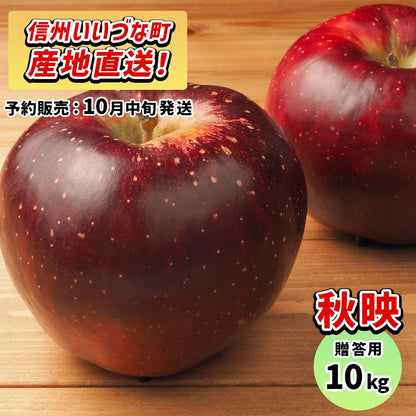 りんご 秋映 10月中旬以降発送  贈答用 10kg