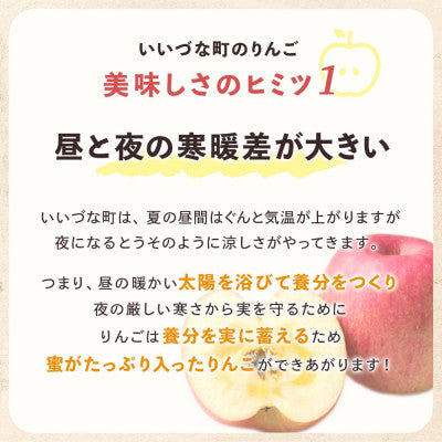 2024年10月以降出荷 訳あり りんご 秋映 5kg 光センサー選果 糖度12度以上 12～25玉