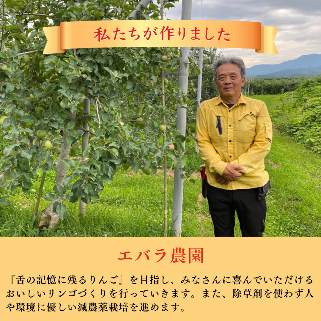 エバラ農園 りんご サンふじ 5kg 家庭用