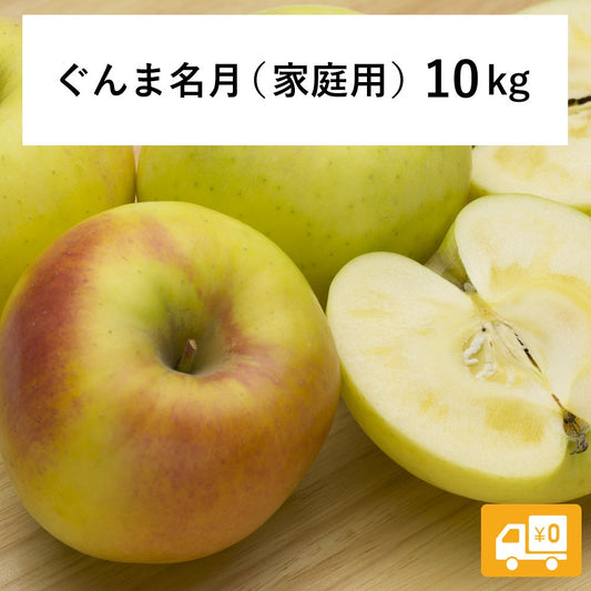2025年11月上旬以降出荷 【訳あり】 りんご ぐんま名月 10kg