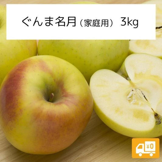 2025年11月上旬以降出荷 【訳あり】 りんご ぐんま名月 3kg