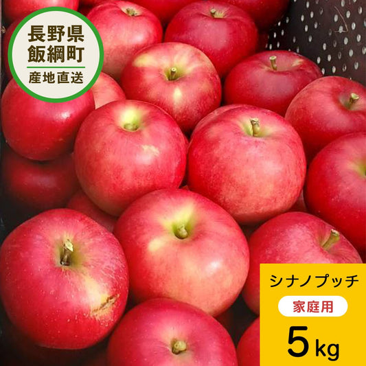 2025年9月下旬以降出荷 【訳あり】 りんご シナノプッチ 5kg